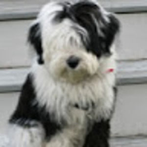 Meet your Posher, Fiona